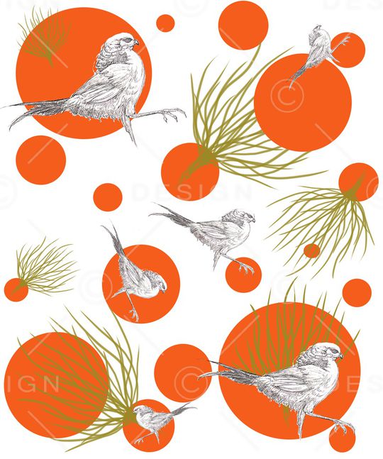 手绘鸟印花华亿平台图片