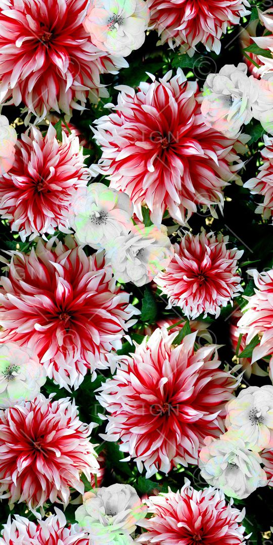 花朵印花华亿平台图片