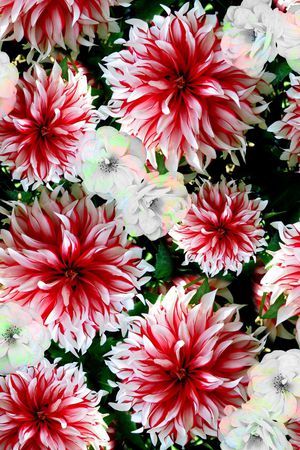 花朵印花华亿平台图片