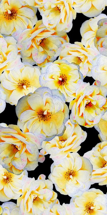 花朵印花华亿平台图片