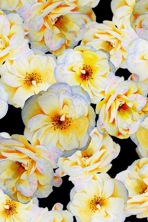 花朵印花华亿平台图片