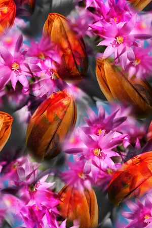 花朵印花华亿平台图片