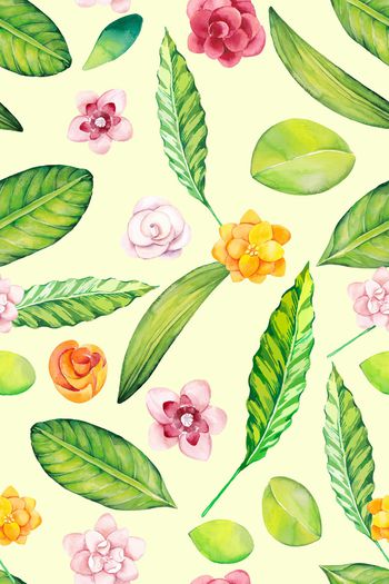 879800-热带叶子1706975