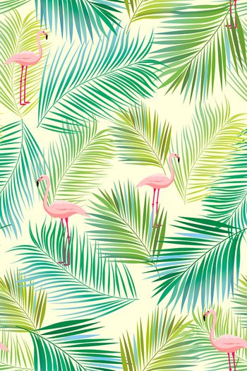 879856-热带叶子1706977