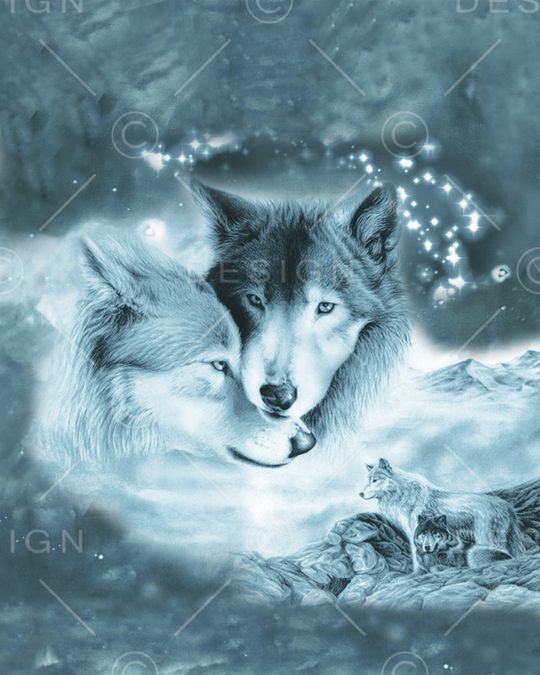 玫瑰印花华亿平台图片