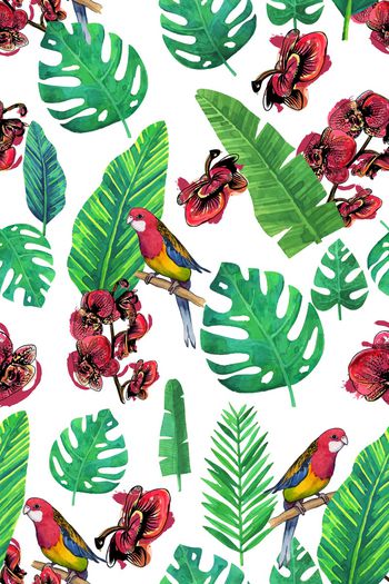 879871-热带叶子1706978