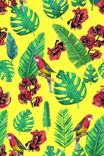 879873-热带叶子1706978c