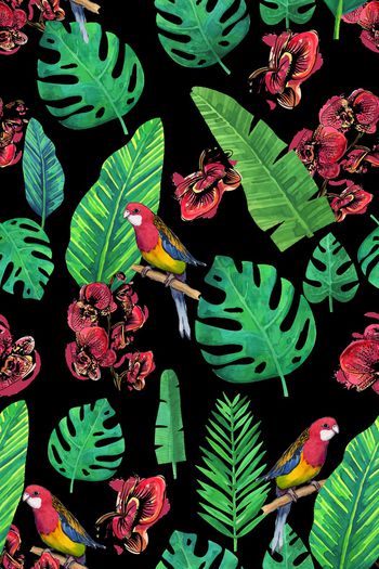 879874-热带叶子1706978d