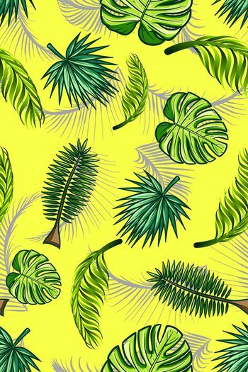 879905-热带叶子1706979