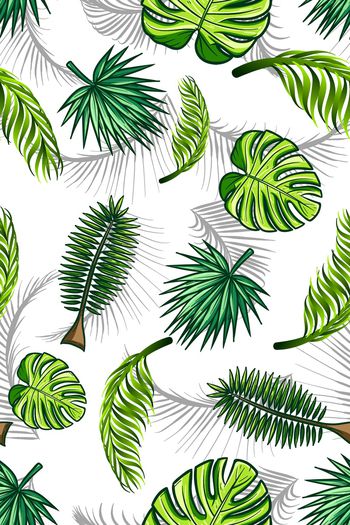 879908-热带叶子1706979c