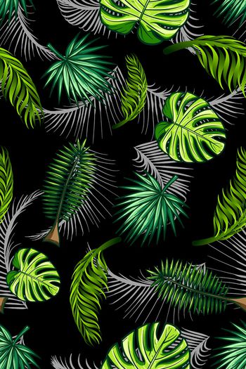 879909-热带叶子1706979d