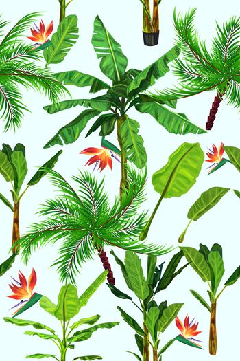 879912-热带叶子1706980