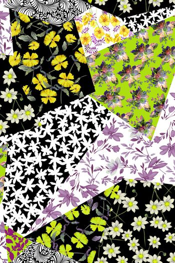 880092-6泳装-女装-男装2