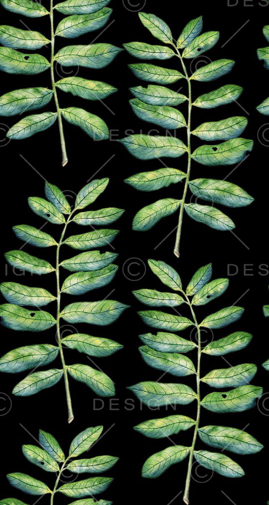 天堂鸟花印花华亿平台图片