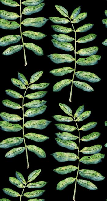 天堂鸟花印花华亿平台图片