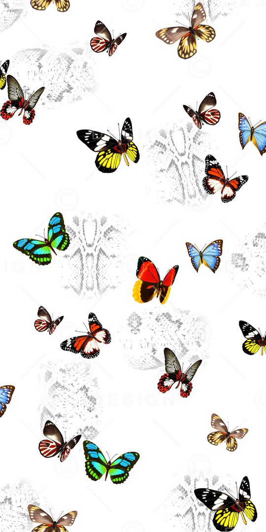 动物纹印花华亿平台图片