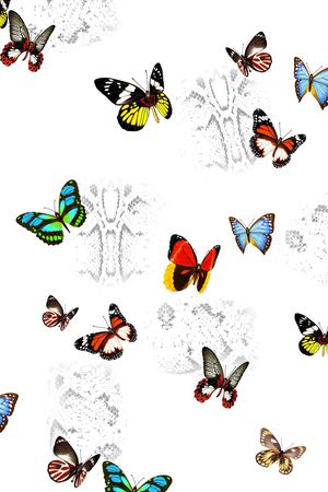 动物纹印花华亿平台图片