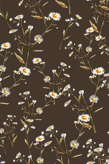 881582-FLZ17-6-72.......