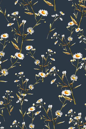 881583-FLZ17-6-72.......