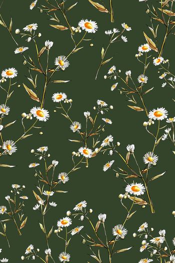 881584-FLZ17-6-72......