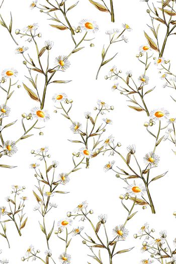 881585-FLZ17-6-72.....