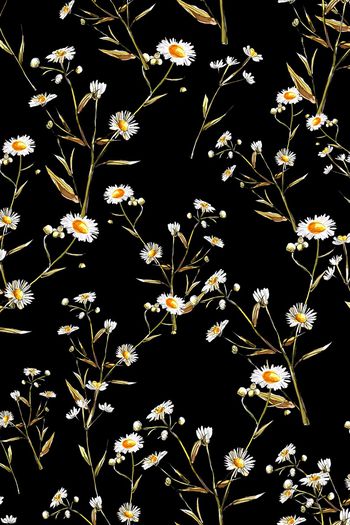 881586-FLZ17-6-72....