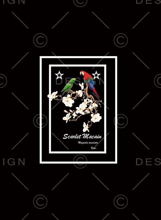 鹦鹉印花华亿平台图片