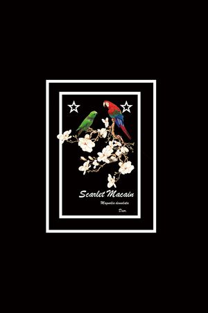 鹦鹉印花华亿平台图片