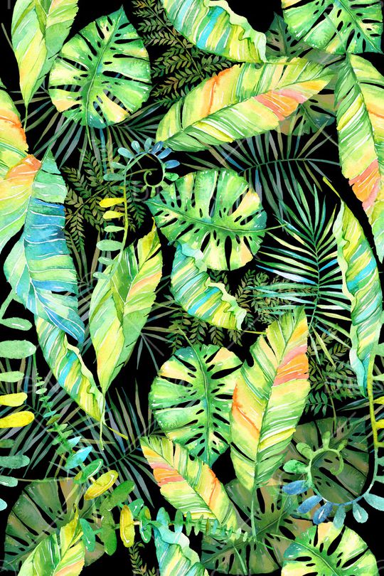 棕榈叶印花华亿平台图片