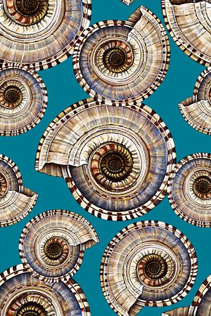 海螺印花华亿平台图片