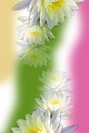 时尚印花华亿平台图片