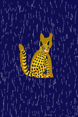 趣味印花华亿平台图片