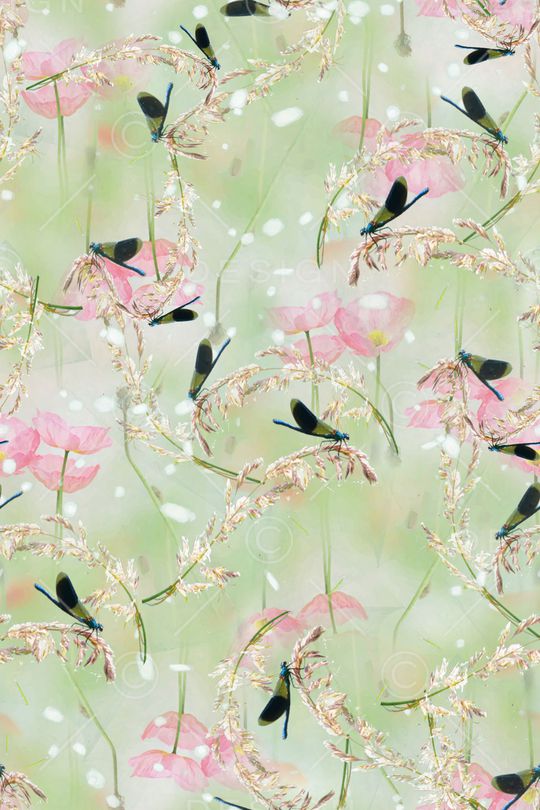 淡雅印花华亿平台图片