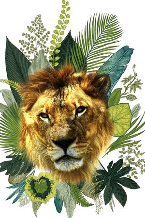 老虎印花华亿平台图片