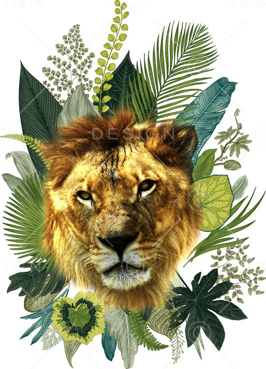 老虎印花华亿平台图片