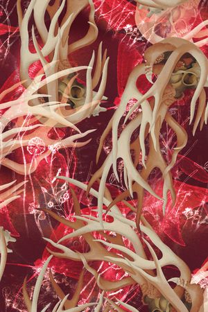 民族风印花华亿平台图片