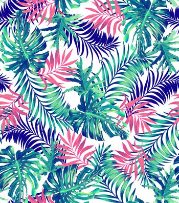 886917-热带植物 叶子 男装花 女装花 C