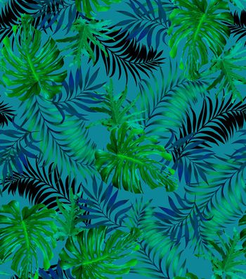 886954-热带植物 叶子 男装花 女装花 C