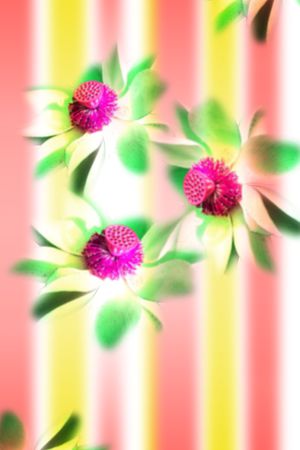 荷花印花华亿平台图片