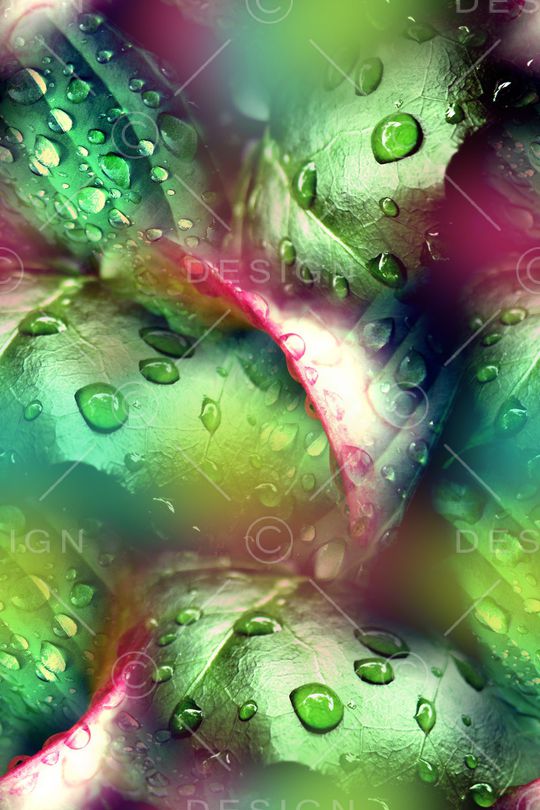 时尚印花华亿平台图片