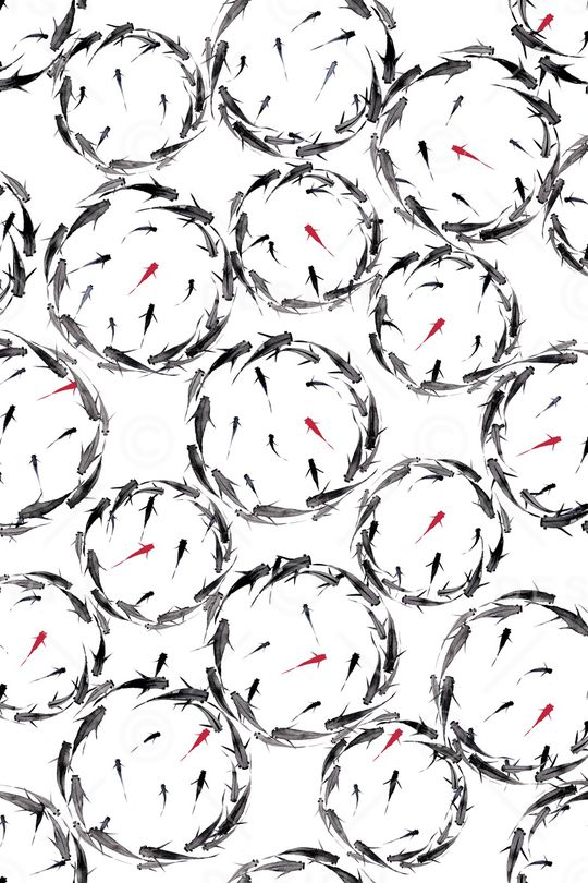 金鱼印花华亿平台图片