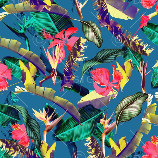 棕榈叶印花华亿平台图片