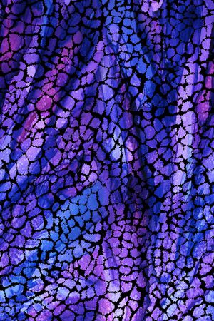 洋阳---动物纹印花华亿平台图片