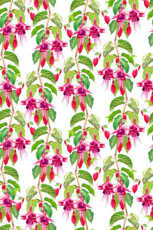 休闲印花华亿平台图片