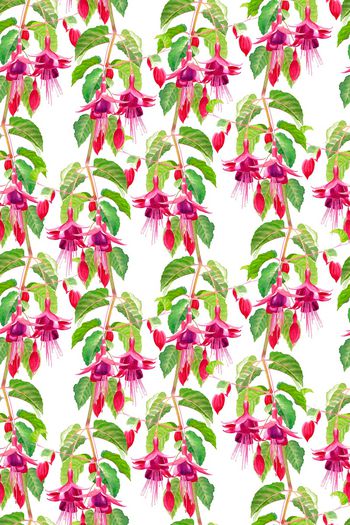 休闲印花华亿平台图片