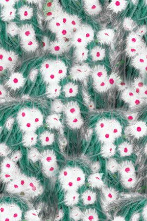 波点印花华亿平台图片