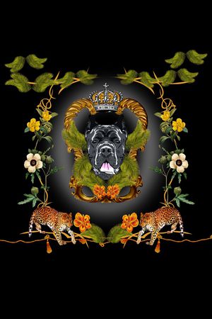 狗头印花华亿平台图片