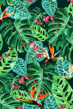 棕榈叶印花华亿平台图片