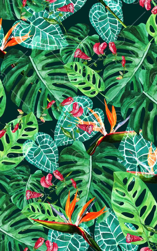 棕榈叶印花华亿平台图片