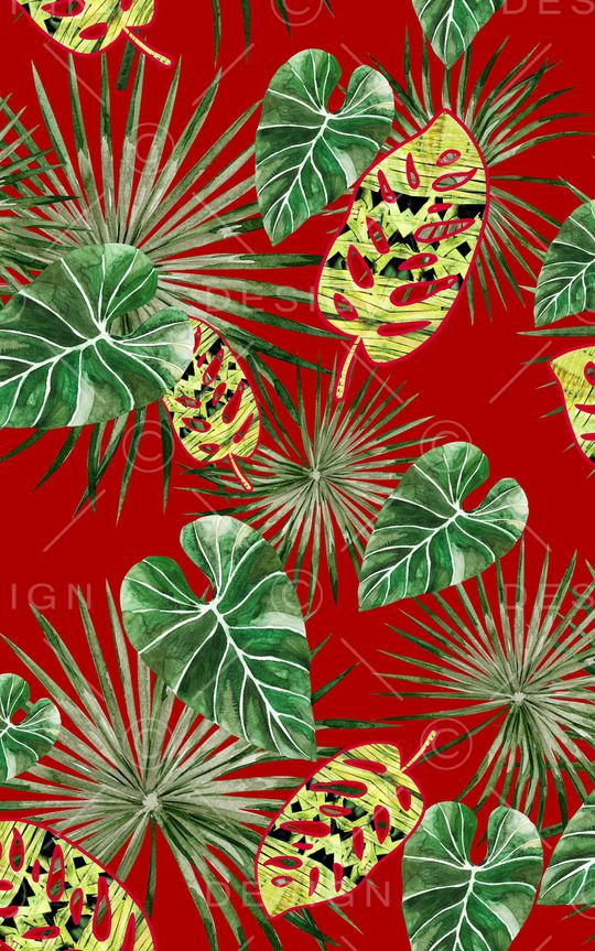 棕榈叶印花华亿平台图片